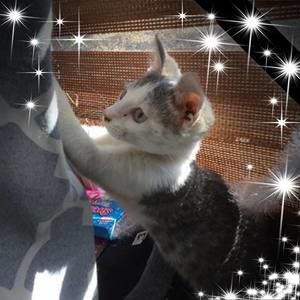 Meet your Posher, Brent